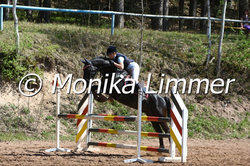 204M8103_Lomitas NS_Springpferde_A.JPG